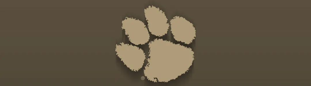 Clemson Tigers