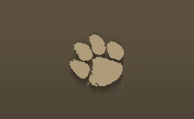 Clemson Tigers