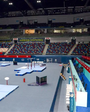 SEC Gymnastics Championship